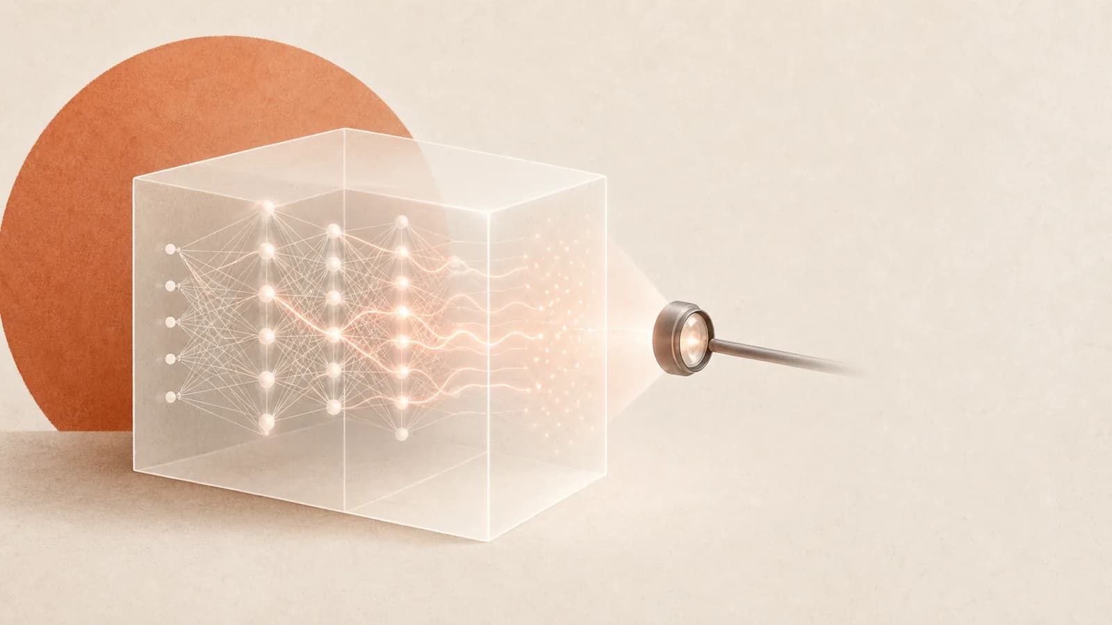 Illustration for White-Box Activation Monitoring